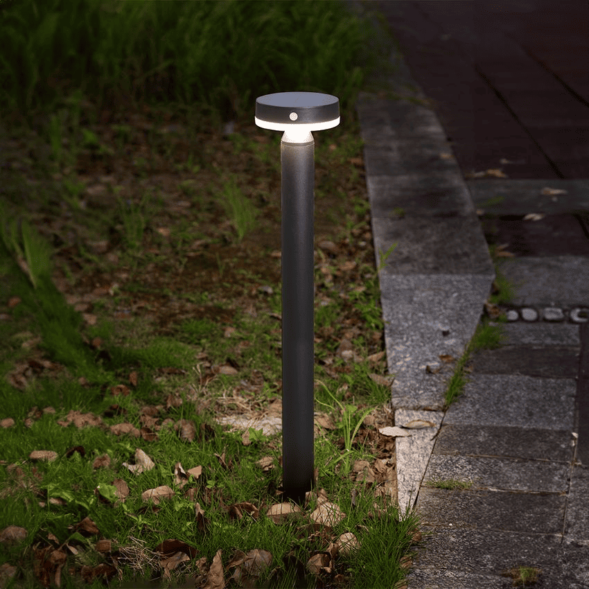 cara-bikin-taman-depan-rumah-sederhana