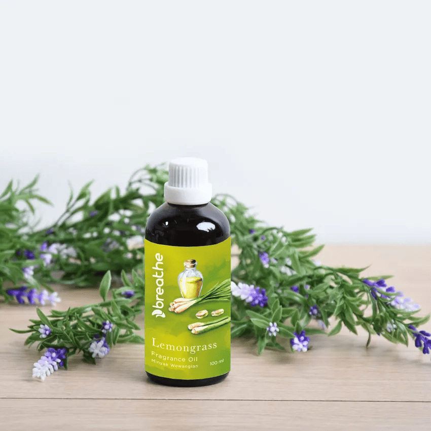 cara-menghilangkan-lalat-di-rumah