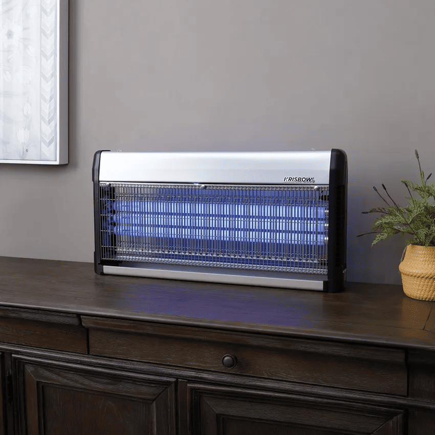 cara-menghilangkan-lalat-di-rumah