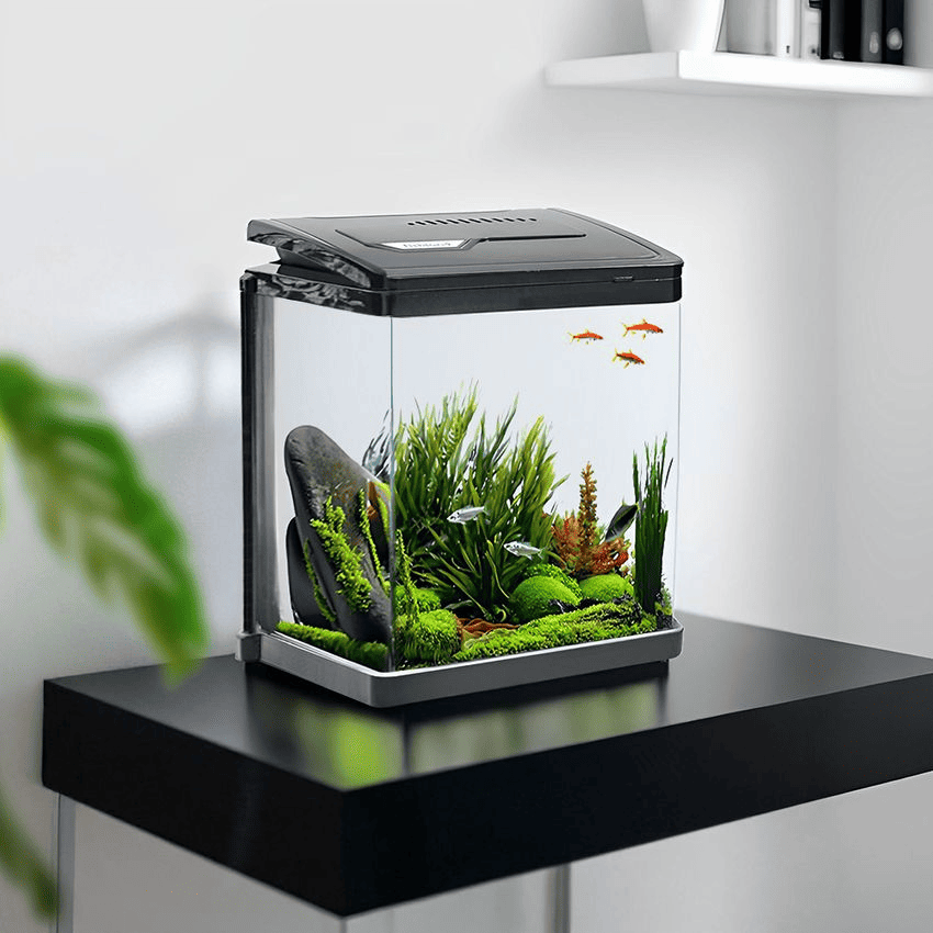 aquarium-mini