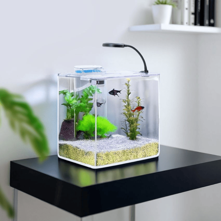 main image for 5 Inspirasi Aquarium Mini di Kamar Tidur, Kamar Makin Cantik!