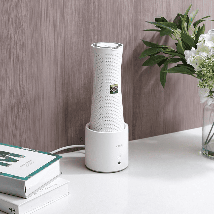 main image for Perbedaan Dehumidifier dan Humidifier, Kenali Juga Fungsinya!