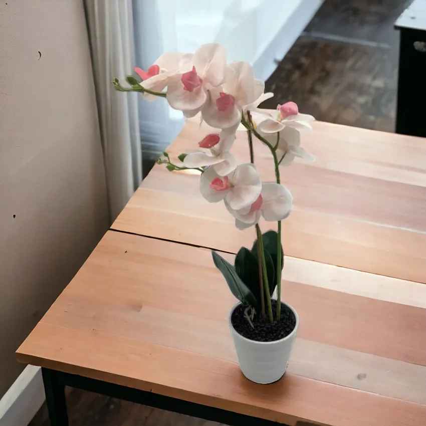 kado-valentine-untuk-istri