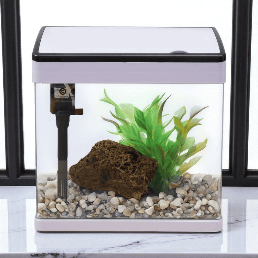 main image for Cara Menjernihkan Air Aquarium Tanpa Mengurasnya!