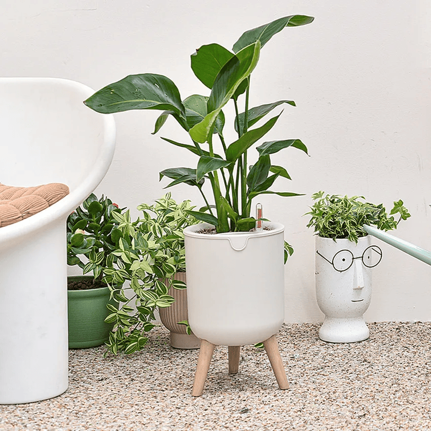 alat-untuk-menyiram-tanaman