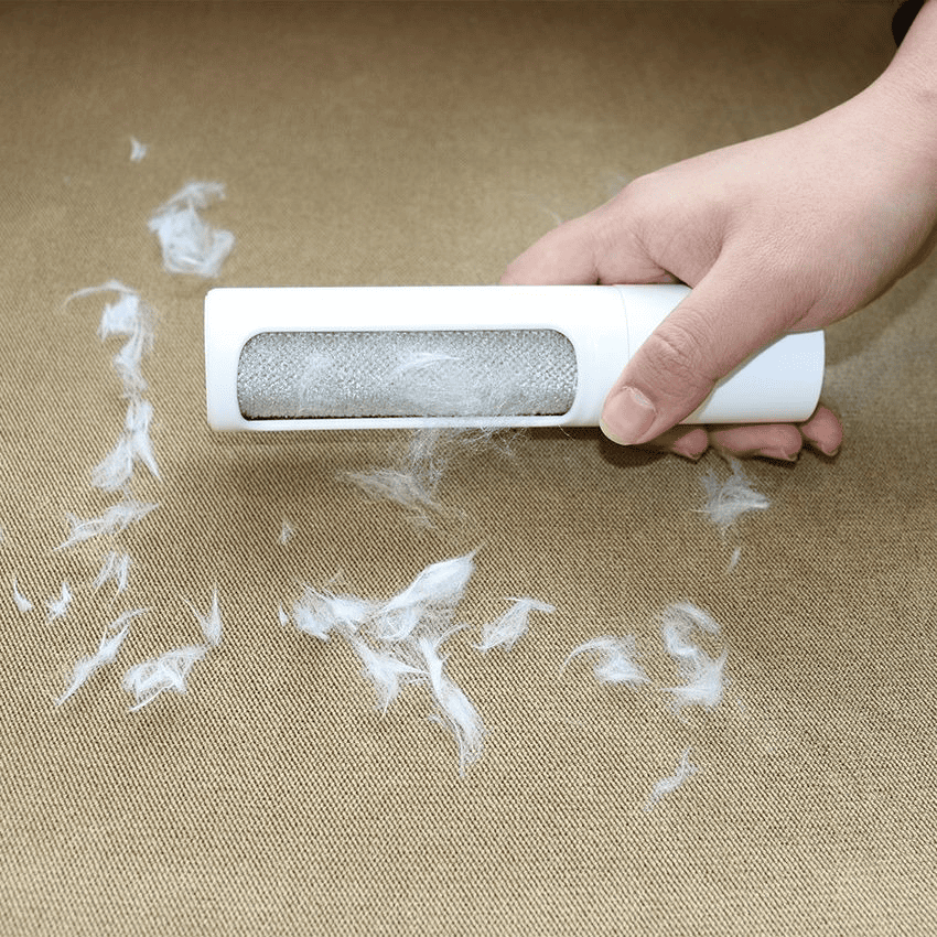 cara-menghilangkan-bulu-kucing-di-karpet