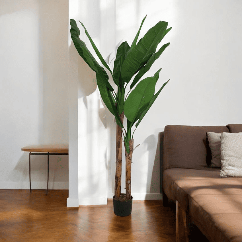 main image for Rekomendasi Bunga Sudut Ruang Tamu Minimalis, Estetik!