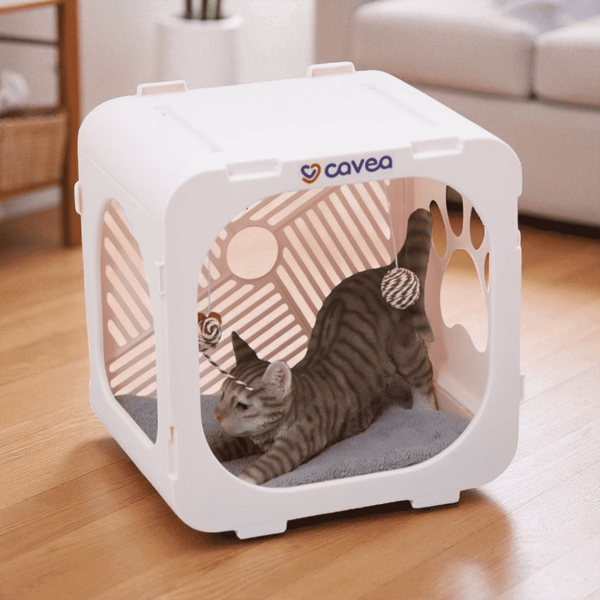 main image for Ukuran Kandang Kucing Ideal agar Nyaman dan Tidak Stres