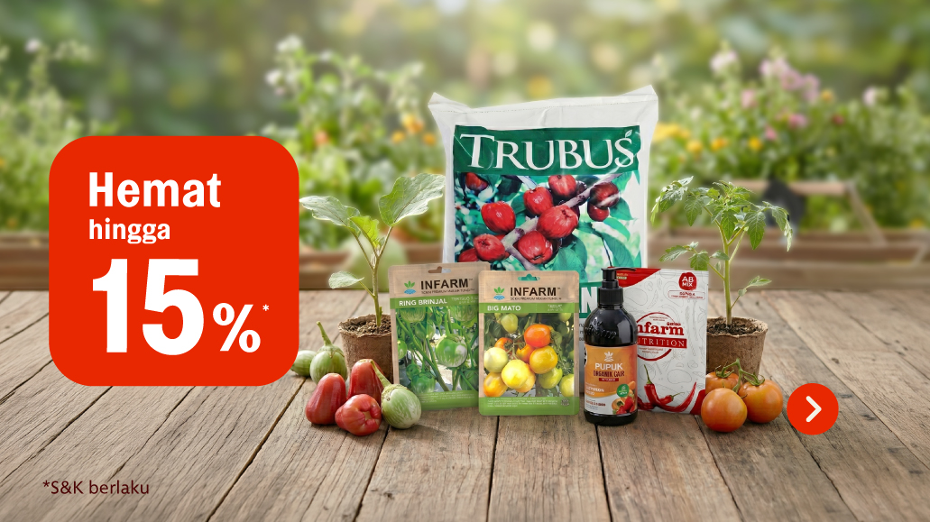 main image for promo Bumi lebih hijau mulai dari pilihanmu