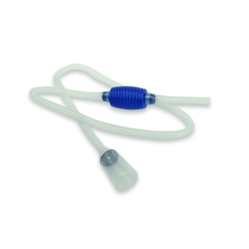 cara-merawat-ikan-hias