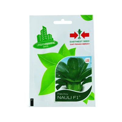 kebun-sayur-pekarangan-rumah