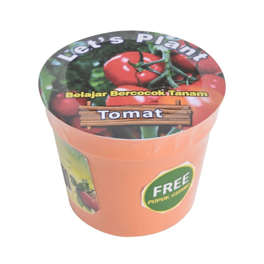 kebun-sayur-pekarangan-rumah