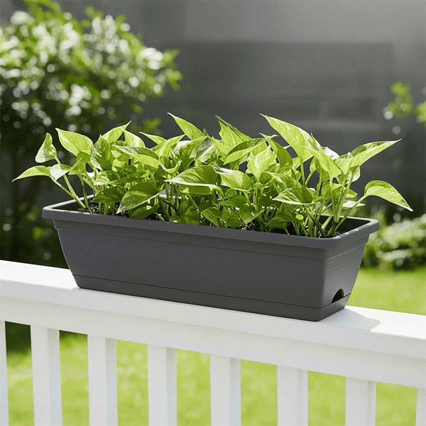 kebun-sayur-pekarangan-rumah