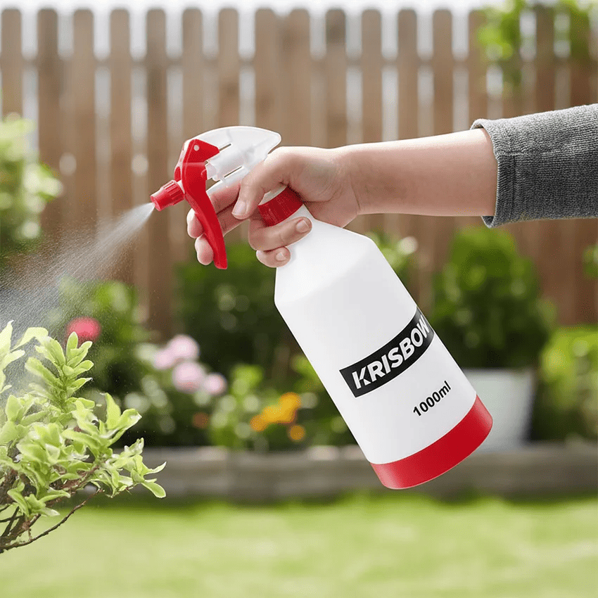 kebun-sayur-pekarangan-rumah