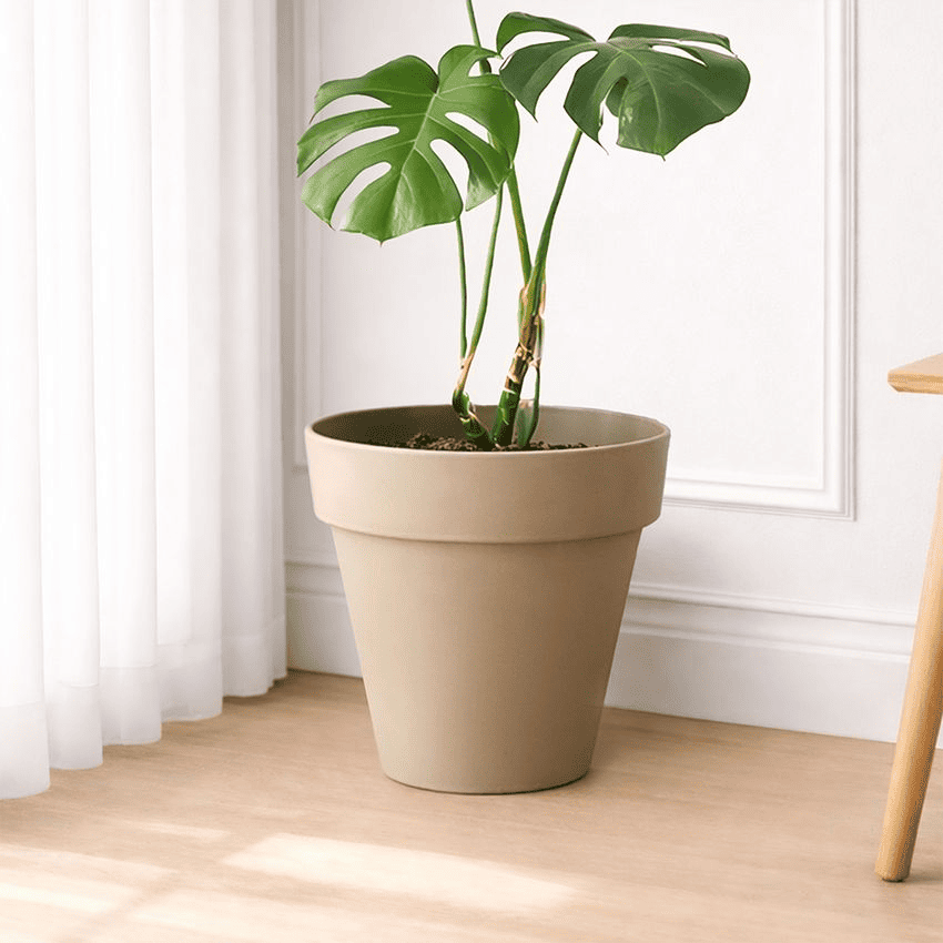 cara-menata-kebun-di-halaman-rumah