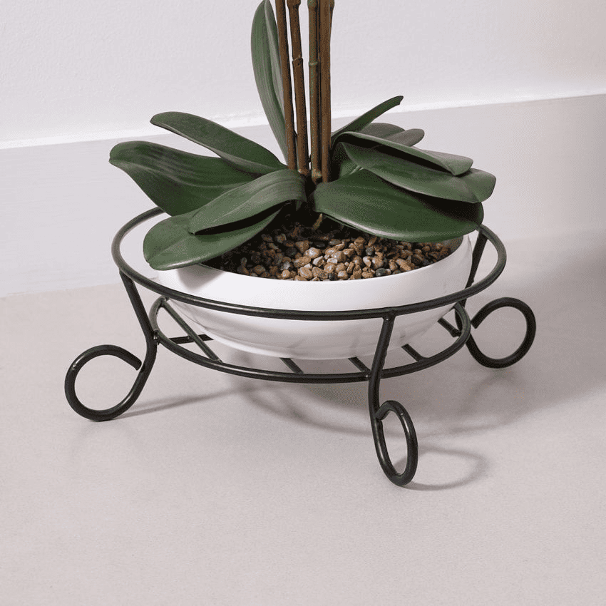 cara-menata-kebun-di-halaman-rumah