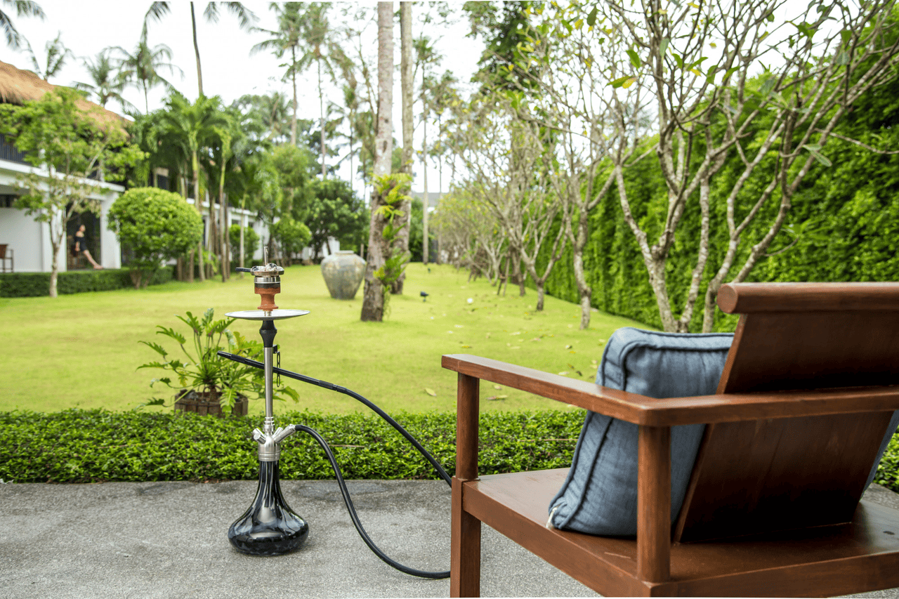 main image for Kenali Apa Manfaat Taman di Rumah, Nggak Cuma Bikin Cantik!