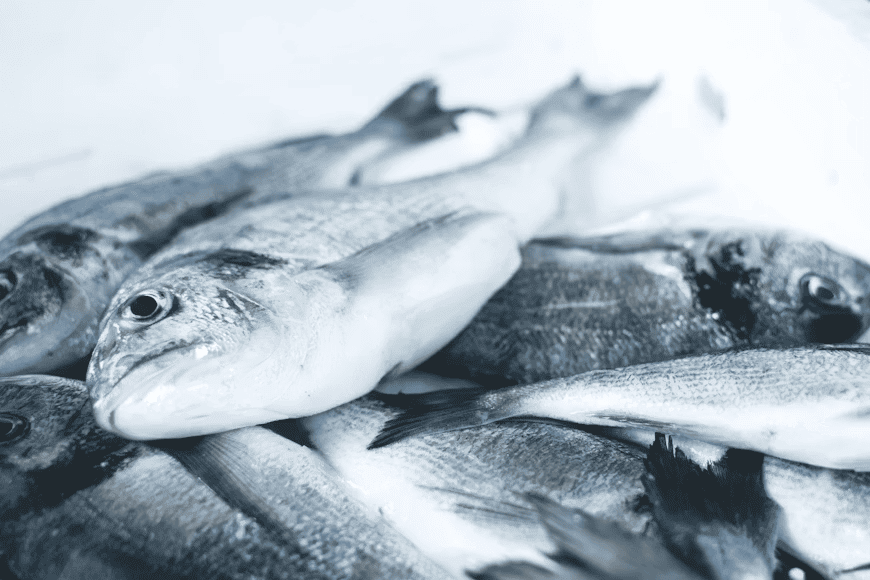 main image for Begini Cara Menghilangkan Bau Amis pada Ikan Secara Efektif