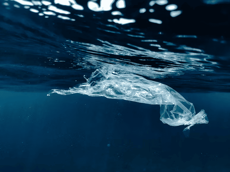 main image for Cara Mengurangi Sampah Plastik, Bisa Dimulai dari Rumah!