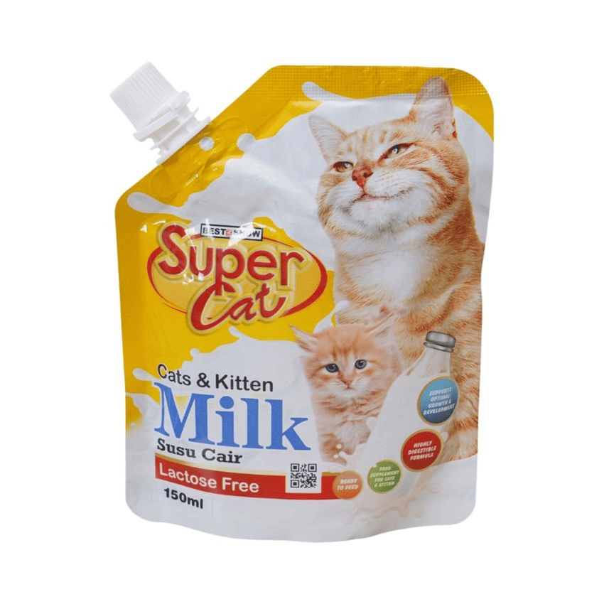 cara-merawat-anak-kucing-tanpa-induk