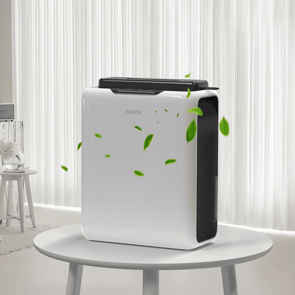 manfaat-dehumidifier-untuk-menjaga-rumah-tetap-nyaman