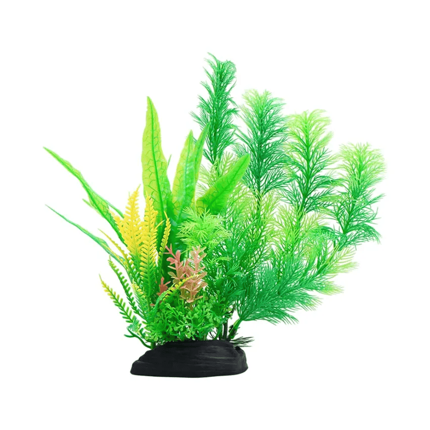 aquascape-simple