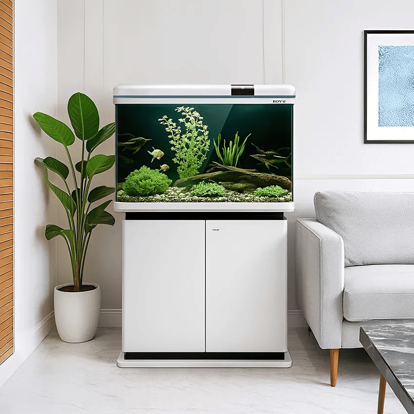 aquascape-simple