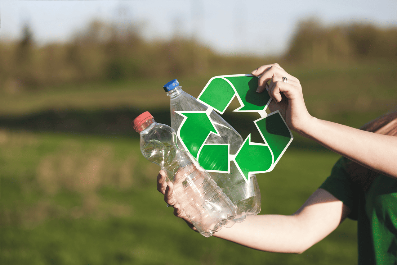 main image for Sustainable Living: Panduan Gaya Hidup Ramah Lingkungan
