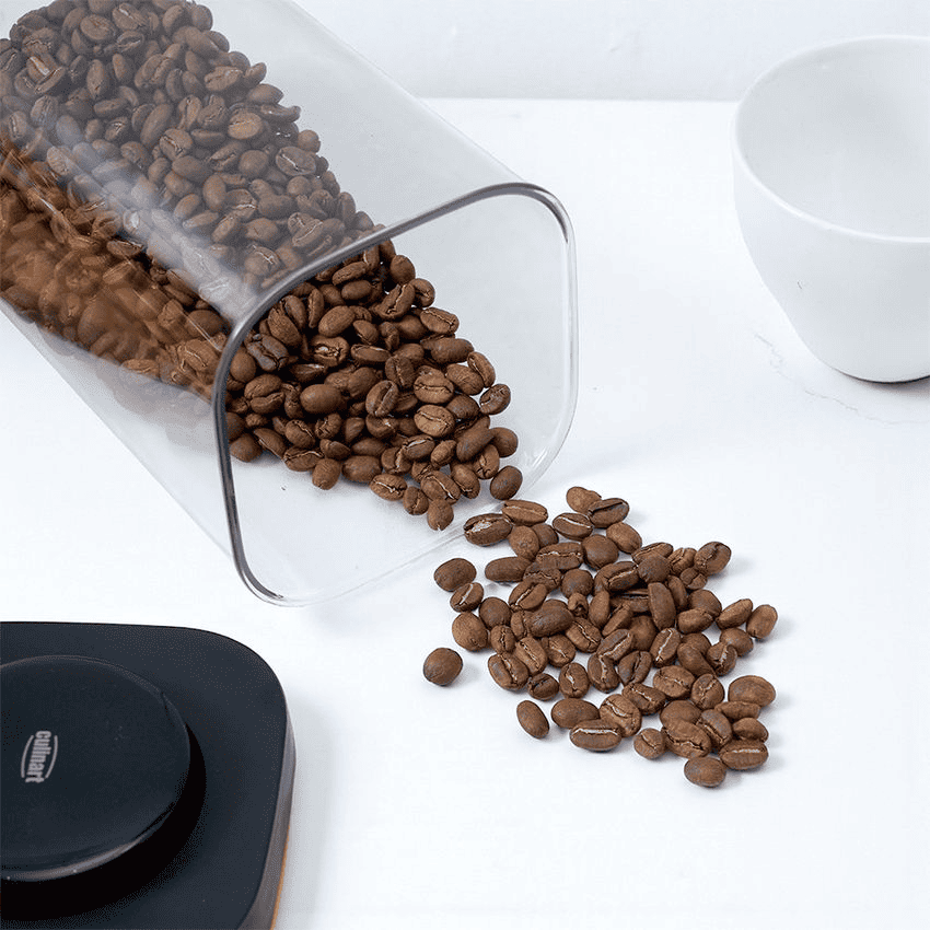 main image for Perbedaan Robusta dan Arabika, Mana yang Lebih Enak?