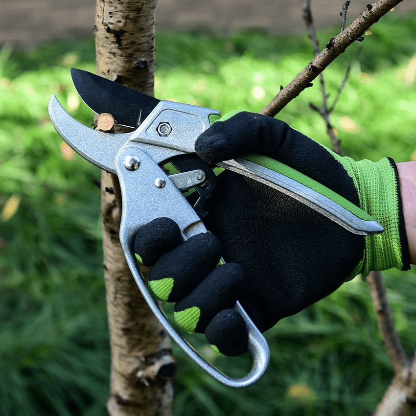 pruning-tanaman