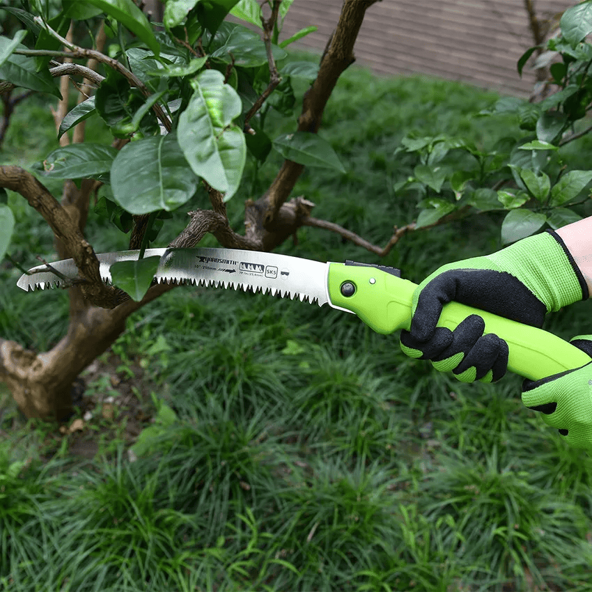 main image for Pruning Tanaman: Pengertian, Manfaat, dan Cara Melakukannya