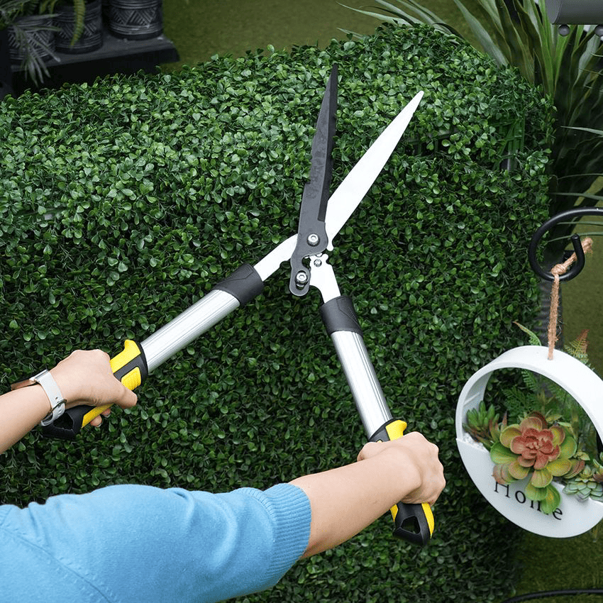 main image for 7 Manfaat Berkebun untuk Kesehatan Fisik dan Mental