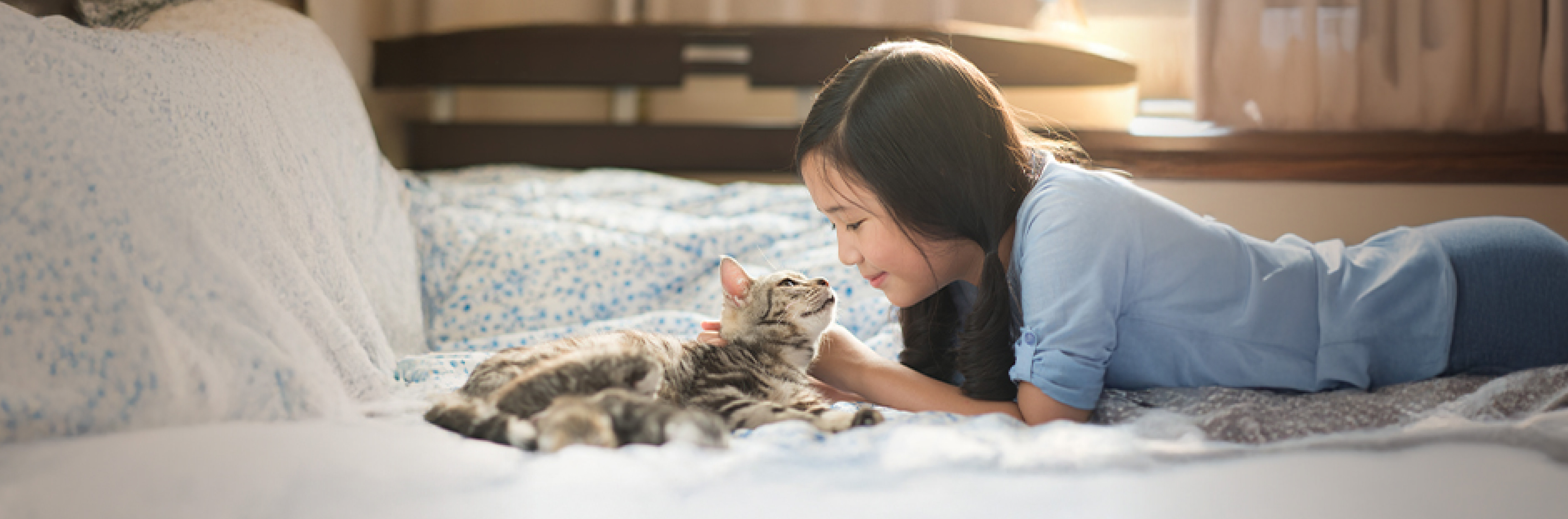 main image for How to Get Rid of Dog or Cat Odor in the House