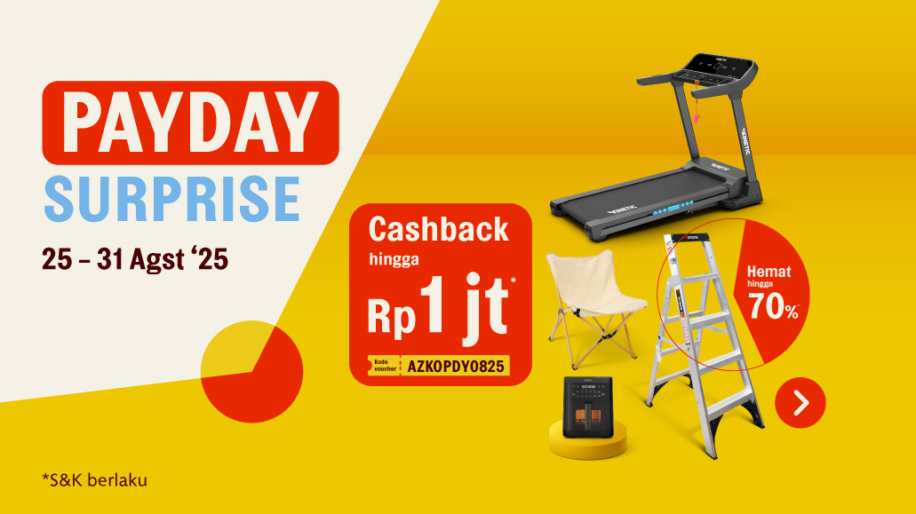 main image for promo Payday Surprise